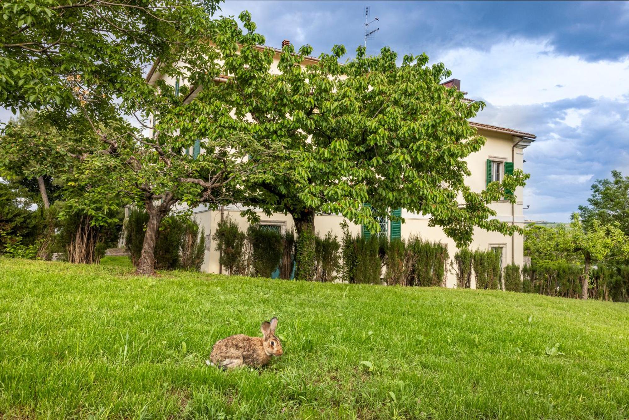B&B In An 1800S Frescoed Villa With Panoramic Solarium And Historic Park - Villa Mastrangelo Colli del Tronto Bagian luar foto